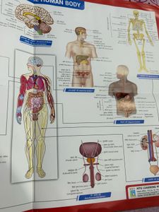 NCERT Fingertips - NEET