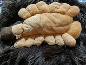 Catbus Totoro Studio Ghibli