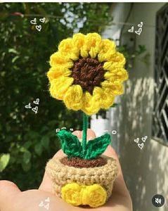 Sunflower Pot🌻