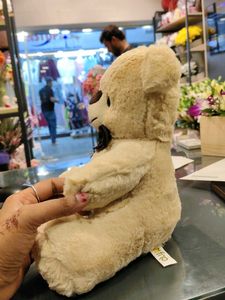 Cute Smokey Teddy Bear