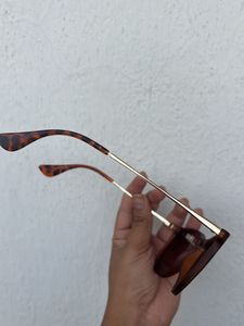 Sunglasses - Brown Tint
