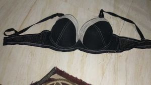 Women's Susie Padded Bra