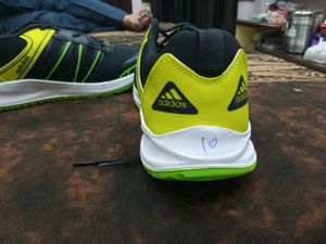 Adidas Sport Shoes (New)