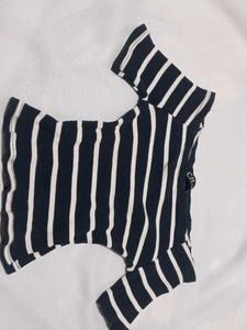 Striped Knit Top