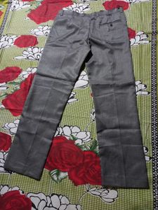 Gray Formal Pants New