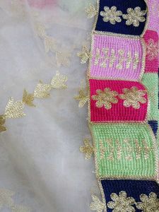 Bahut Hi Pyara Organza Dupatta Embroider