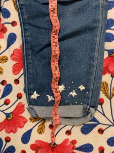Embroidered Denim Capris