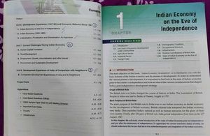 Indian Economic Development