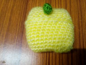 iPod Cover &amp; Key Ring