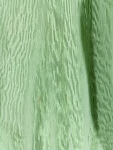Fluorescent Green Plain Casual Top (Women)