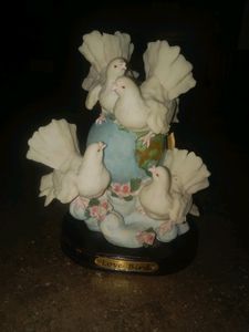Bird Showcase