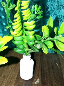 2 Flower Pot ,2inch