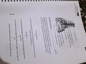 Anatomy Marrow EDITION 5 Notes ( For NEET PG!!)