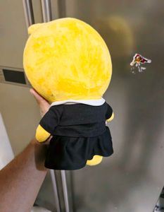 Important Soft Toy 🧸
