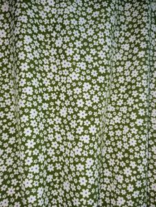 Aesthetic Flared Dress