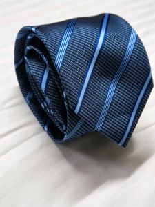 Kingfisher Men Blue Striped Tie