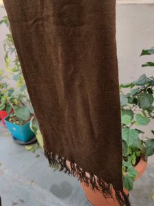 Woolen Scarfs (Brown)