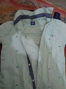 Stylish Light Green Shirt