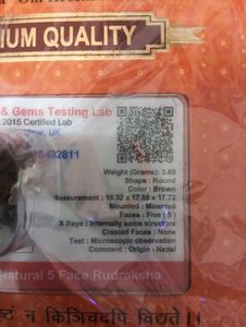 5 Mukhi Rudraksha Pendant