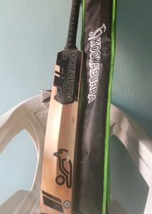 Kookaburra Cricket Bat