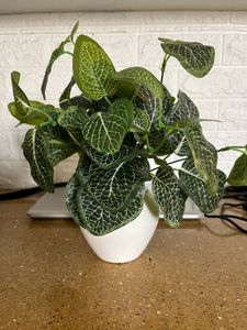 Artificial Plant