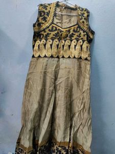 Elegant Ethnic Dress