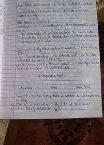 11,12th Biology Notes