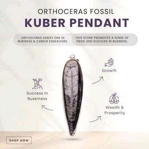 Orthoceras Kuber Stone For Financial Growth 💸💰