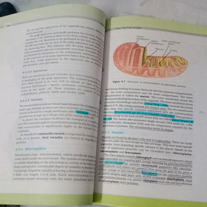 Class 11 Biology book
