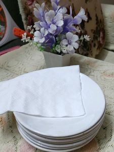 Saucers (Quality Product)