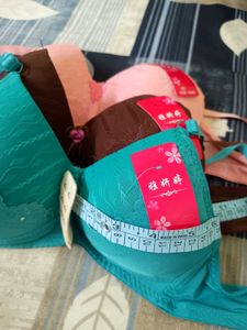 New Padded Bra