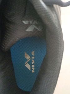 NIVIA School Shoes India Size 11