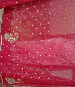 Chiffon +net Pallu With Shining