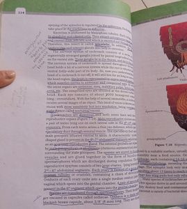 Biology Textbook Class 11 And 12