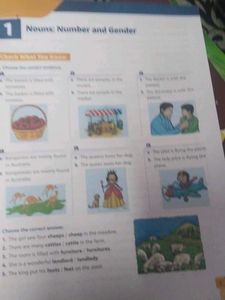 Burlington English Grammar Grade 7