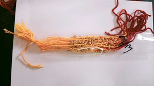 Handmade Rakhi with Decorative Beads