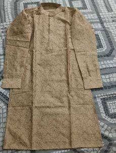 Elegant Silk Kurta