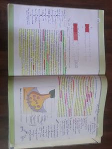 NCERT Class 11 Biology