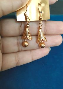 Beautiful Earnings To Schools And Colleges