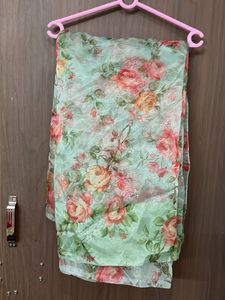 New Shimmering Organza Saree