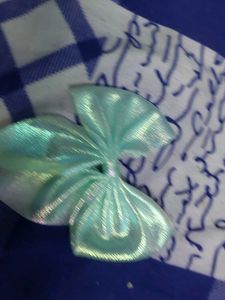 Shimmering Bow Never Used