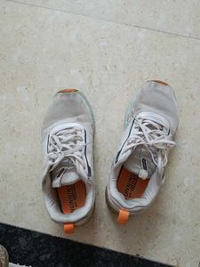 NEW CAMPUS SHOES