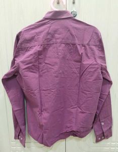 Purple Shirt