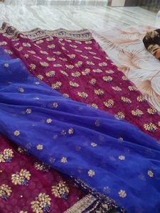 Elegant lehenga and dupatta NO BLOUSE