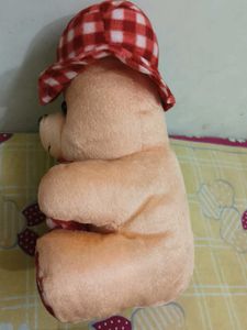 Cute Checkered Teddy Bear