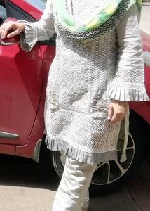 Pure Organza Pakistani Grey Suit