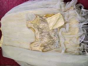 Elegant Ethnic Gown