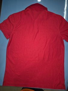Tommy Hilfiger Red Polo T- Shirt
