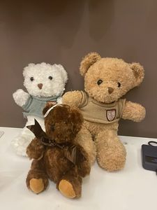 Combo Of 3 Teddies 🧸