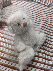 Teddy Bear For Kids